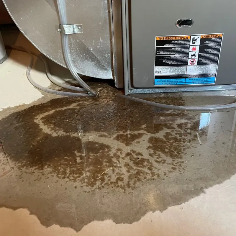 Pipe Burst and Leak Restoration in Jefferson County, KY