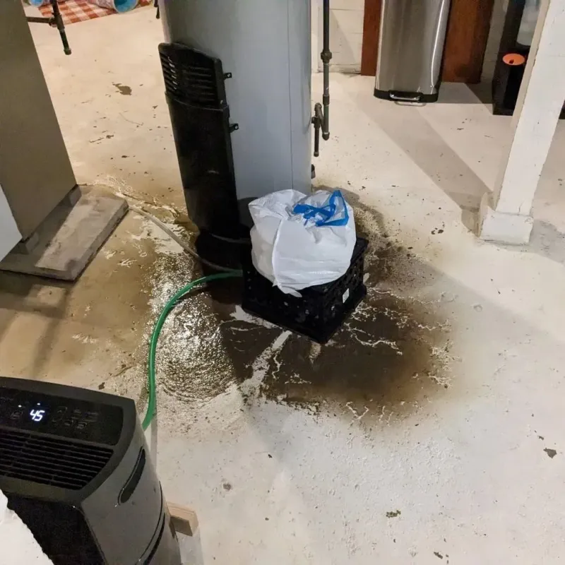 Sewage Backup Cleanup Service in Jefferson County, KY